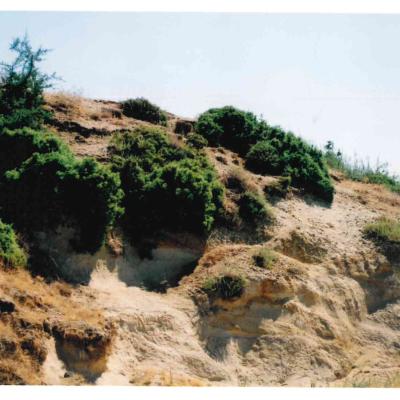 Doc09505020230711190836 084