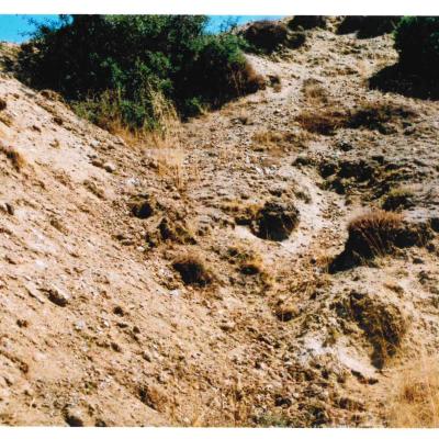 Doc09505020230711190836 085