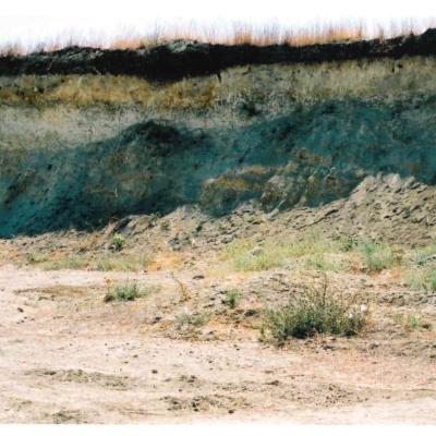 Doc09505020230711190836 090